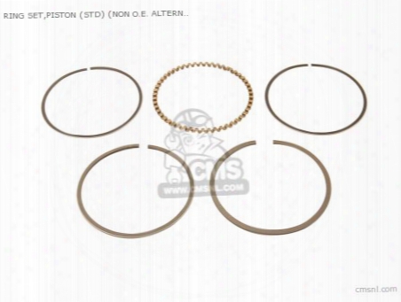 Ring Set,piston (std) (non O.e. Alternative)