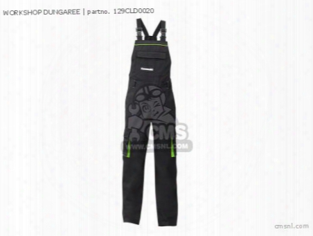 Workshop Dungaree