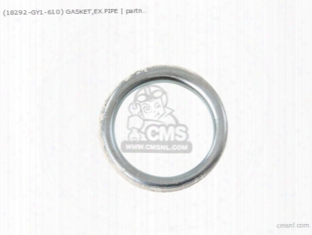(18291147306) Gasket,ex.pipe