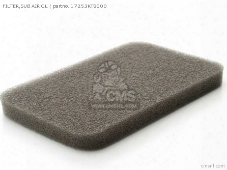 Filter,sub Air Cl