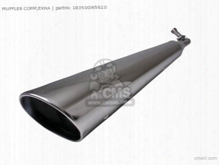 Muffler Comp,exha