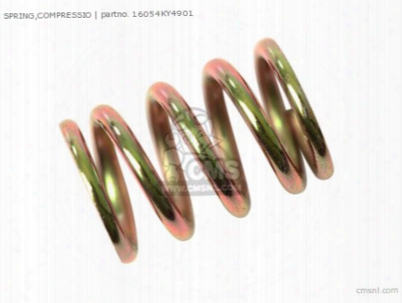 Spring,compressio