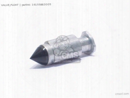 Valve,float