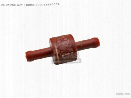 Valve,one Way