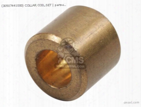 (30507441000) Collar,coil.set