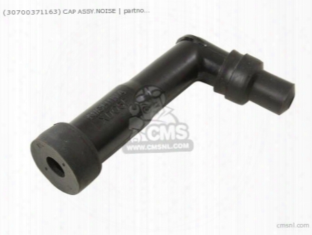 (30700371163) Cap Assy.noise