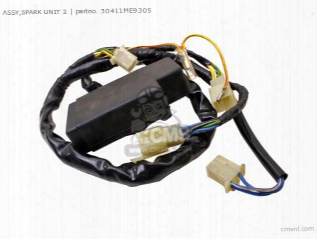 Assy,spark Unit 2