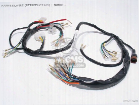 Harness,wire (non O.e. Alternative)