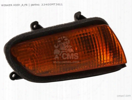 Winker Assy.,r,fr
