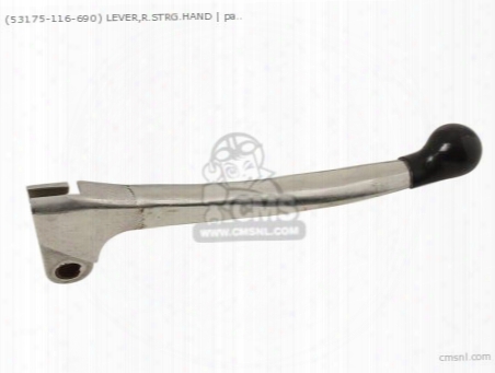 (53175116690) Lever,r.strg.hand