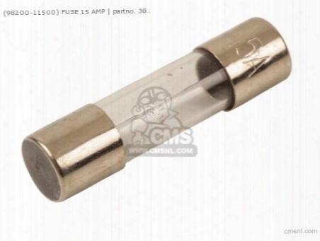 (9820011500) Fuse 15 Amp