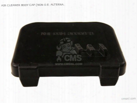 Air Cleaner Body Cap (non O.e. Alternative)