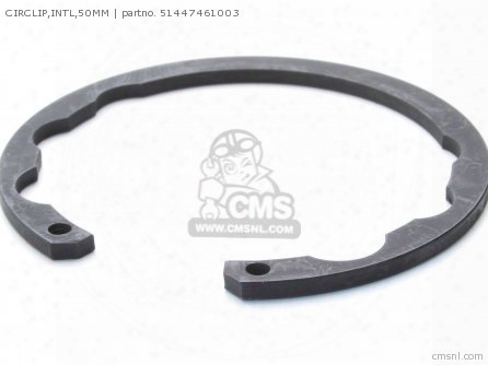 Circlip,intl,50mm