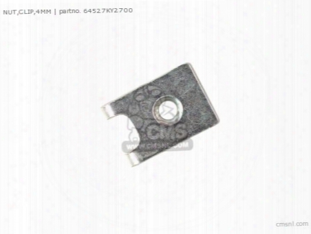 Nut,clip,4mm