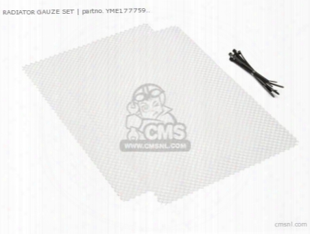 Radiator Gauze Set