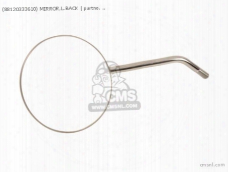 (88120333610) Mirror,l.back