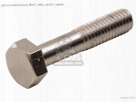 (92101060300a) Bolt, Hex, 6x30