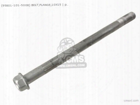 (958011015008) Bolt,flange,10x15