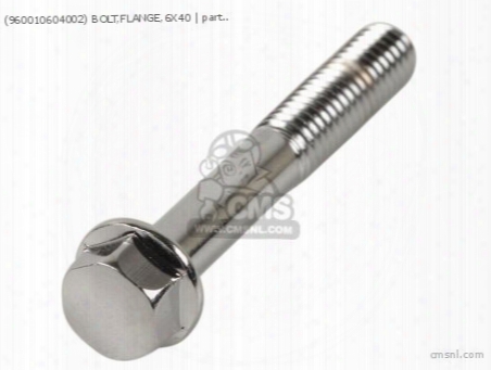(960010604002) Bolt,flange,6x40