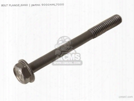 Bolt Flange,6x60