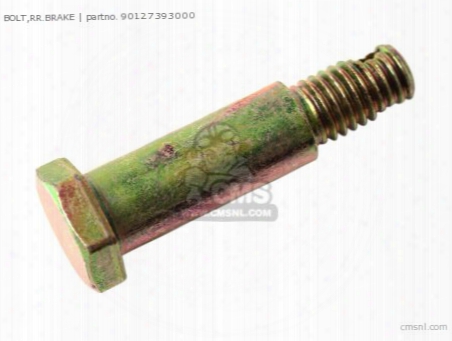 Bolt,rr.brake