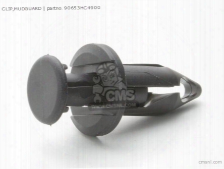 Clip,mudguard