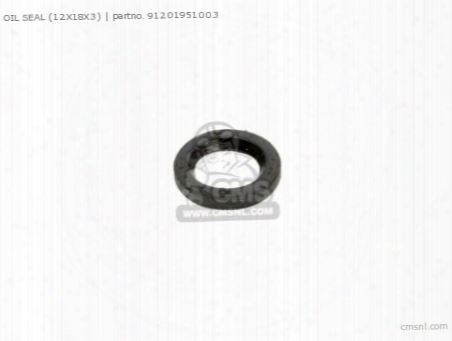Oil Seal (12x18x3)