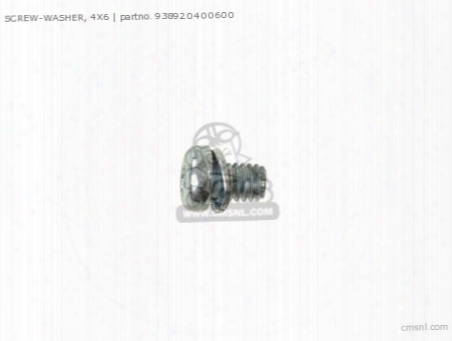 Screw-washer, 4x6