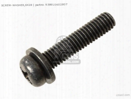 Screw-washer,6x28