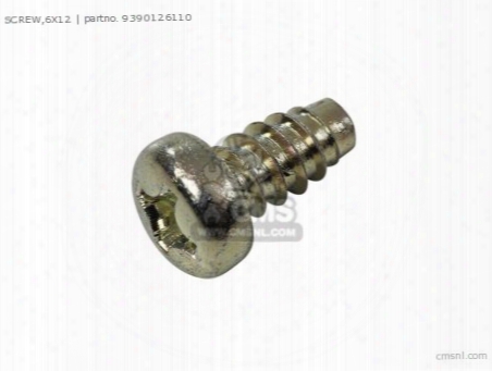 Screw,6x12