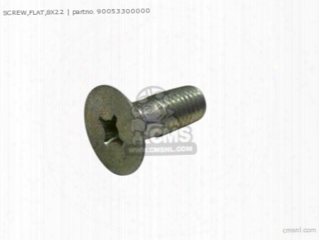 Screw,flat,8x22