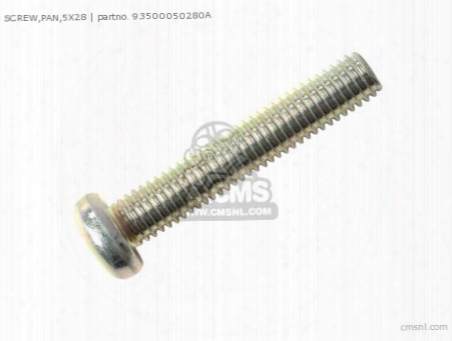 Screw,pan,5x28