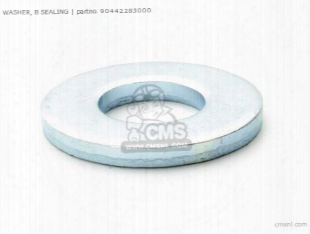 Washer 10 Mm