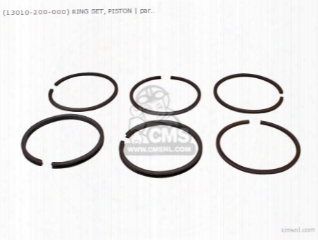 (13012200000) Ring Piston