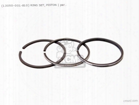 (13050001810) Ring Set, Piston