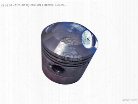(13101312010) Piston