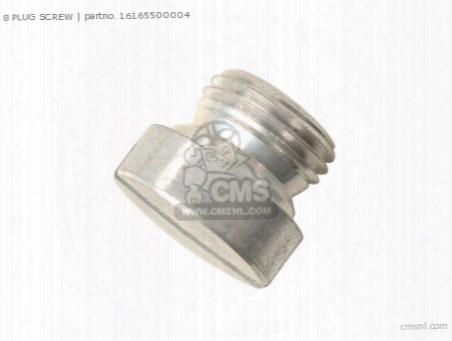 8 Plug Screw