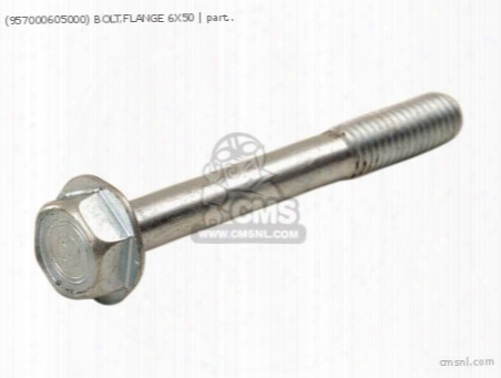 (957000605000) Bolt,flange 6x50