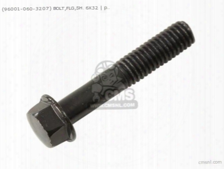 (960010603207) Bolt,flg,sh. 6x32