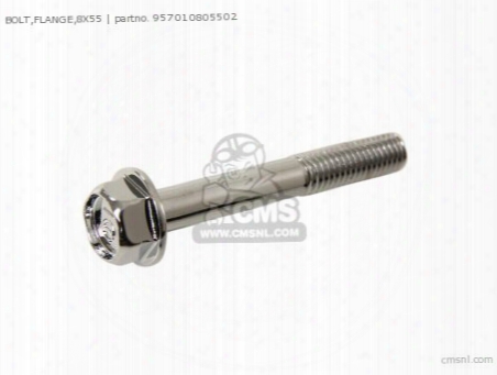 Bolt,flange,8x55
