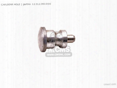 Cap,gear Hole