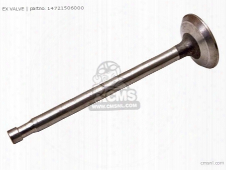Ex Valve