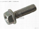 BOLT,FLG DR 8X25