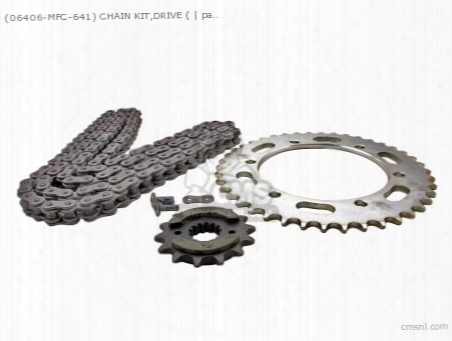 (06406-mfc-641) Chain Kit,drive (