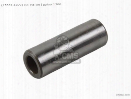 (130021079) Pin-piston