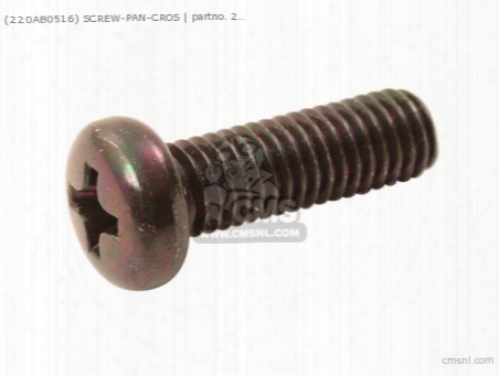 (220f0516) Screw-pan-cros