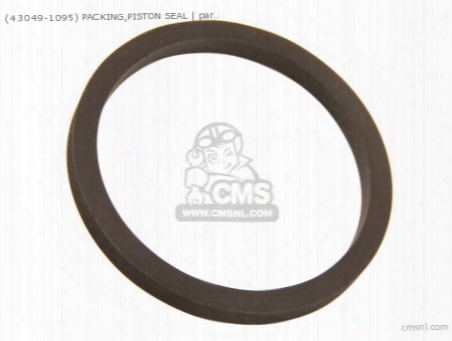 (430491095) Packing,piston Seal