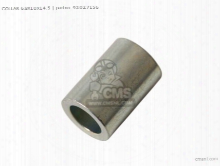 Collar-battery Case