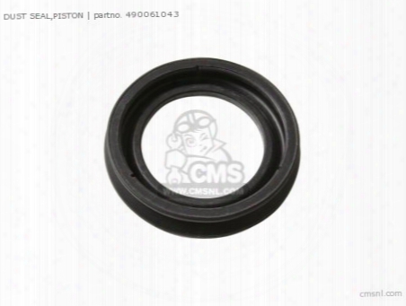 Dust Seal,piston