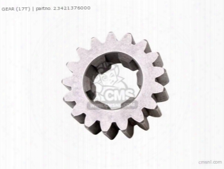 Gear (17t)